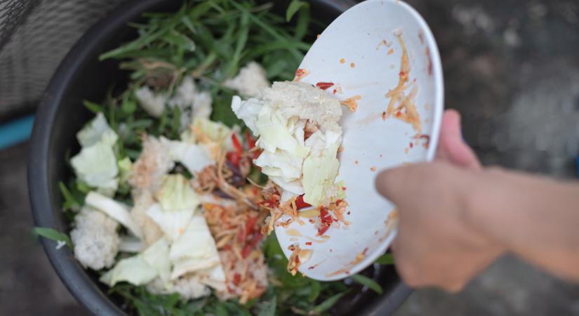 Műanyagszemcsék kerültek Magyarországon az iskolai és óvodai menzák ételeiben