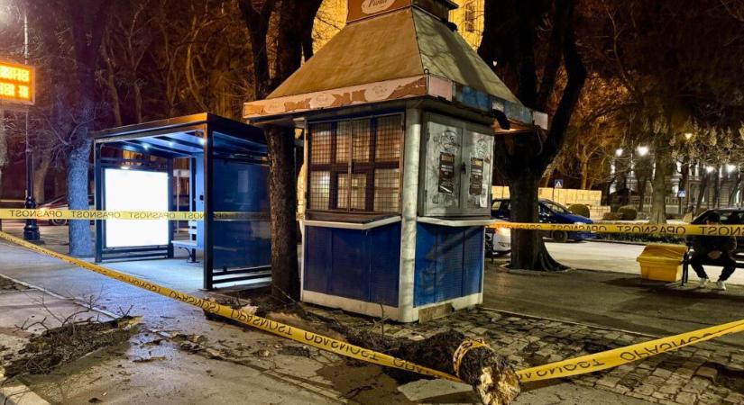 A kerékpárútra zuhant egy faág