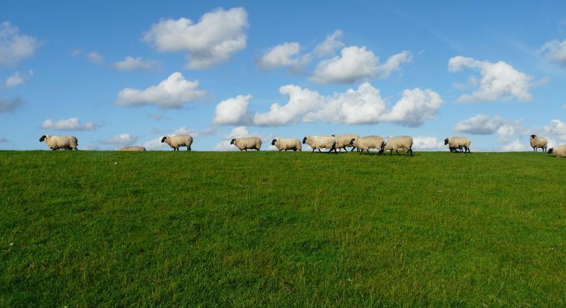 226 éve született Brassai Sámuel a juhász, pedagógus és botanikus