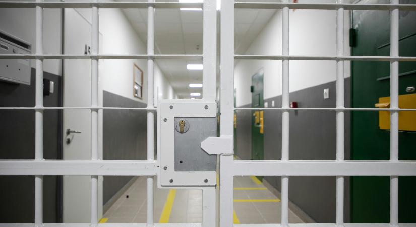 A pedofilok keményebb büntetésével álcázza a kormány, hogy keveset tesz a gyermekbántalmazások ellen