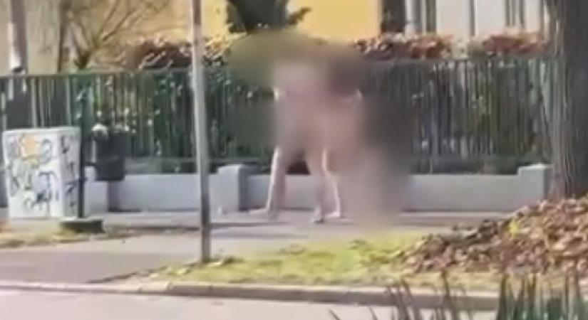 Nem mehetnek kislányuk közelébe a Debrecenben anyaszült meztelenül járkáló szülők