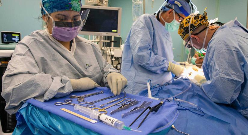 Ösztönzők és visszafizetés: így látják a rektorok Bolojan javaslatát az orvosok kötelező itthonmaradásáról