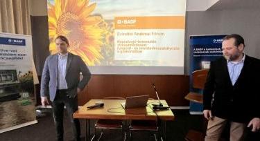 Gyomok, gombák, viharkár: napraforgóban ez a szűk keresztmetszet