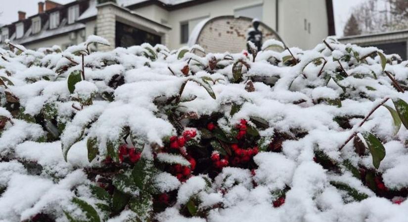 Ma még örülhetünk a tavasznak, de hétvégére hidegfront érkezik, riasztást is kiadtak