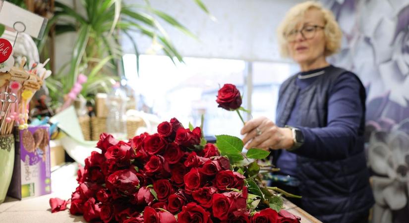 Vége a találgatásnak: elárulták az egri virágosok, miért kerül ennyibe a vörös rózsa idén