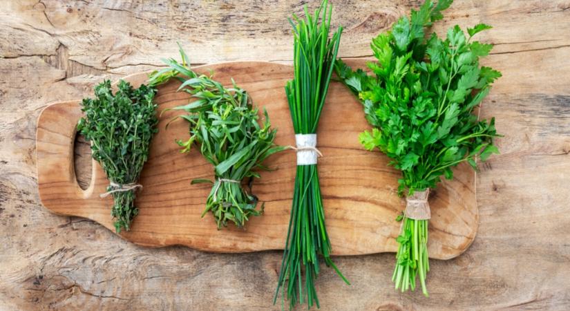 A friss fűszerek helyes szárítása és tárolása – főzz mindig finomat!