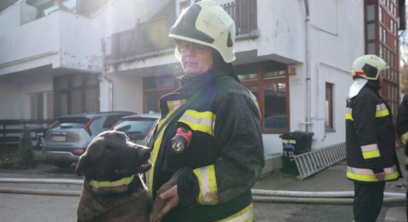 Nagy tűz Budakeszin: egy munkásszálló égett porig, négyen meghaltak – stábunk a helyszínen, fotókon a pusztítás