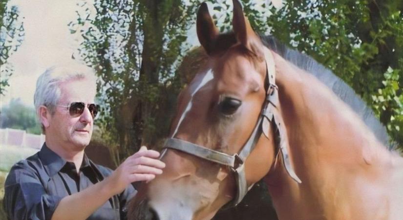 A győri városháza címere