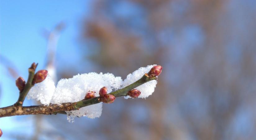 Nem biztos, hogy mindenkinek jó a mostani enyhülés: veszélyben a természet?