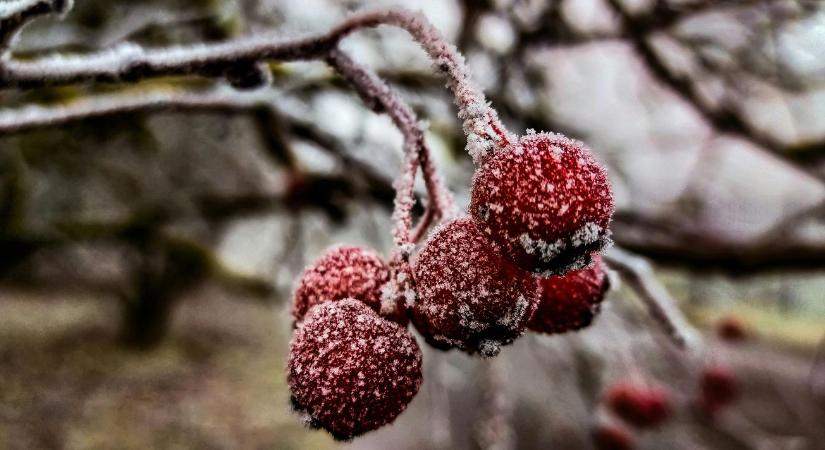Ezt nem láttuk jönni: drasztikus lehűlés a hétvégén!