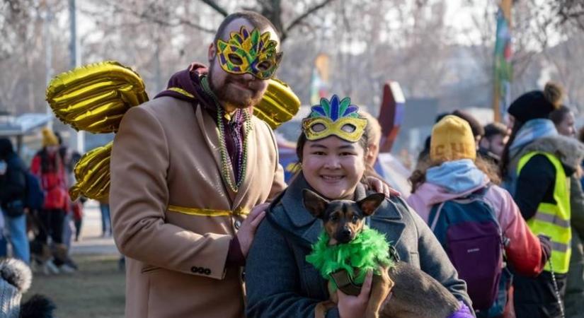 A legjobb Valentin-napi program, ha imádod a kutyákat