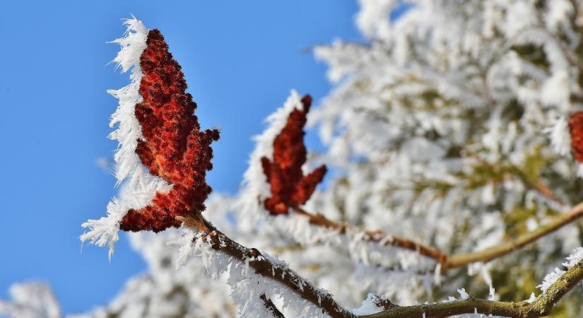 Hidegfront a hétvégén: ezt teszi a testünkkel – és így csökkenthetjük a tüneteket
