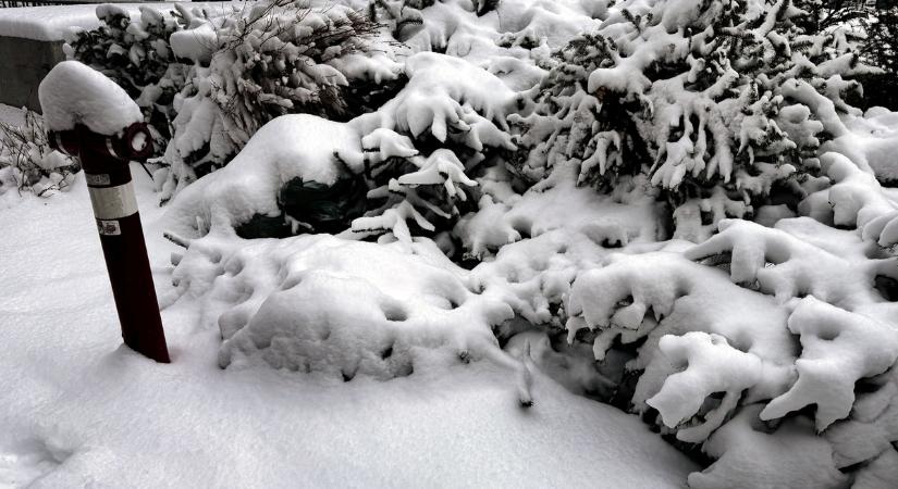 „Őszinte leszek, egy picit aggódtam” – nem ilyen télre számított a kerekes székes Szilvágyi Gergő