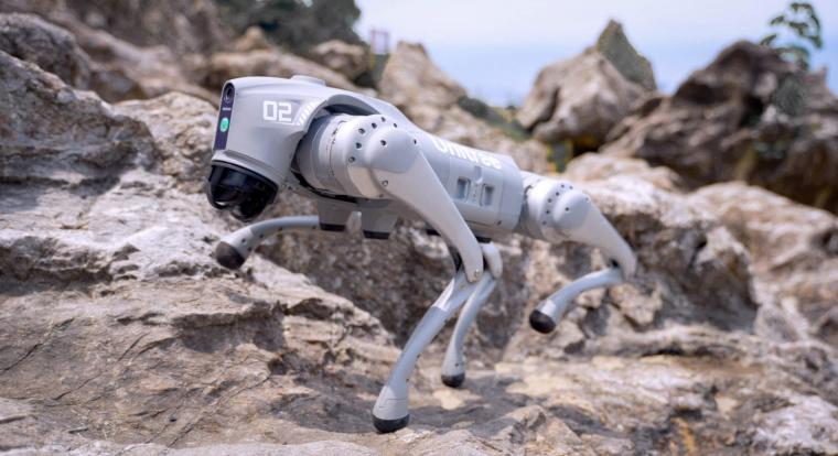 Robotkutyák őrzik majd a 2026-os labdarúgó-világbajnokságot