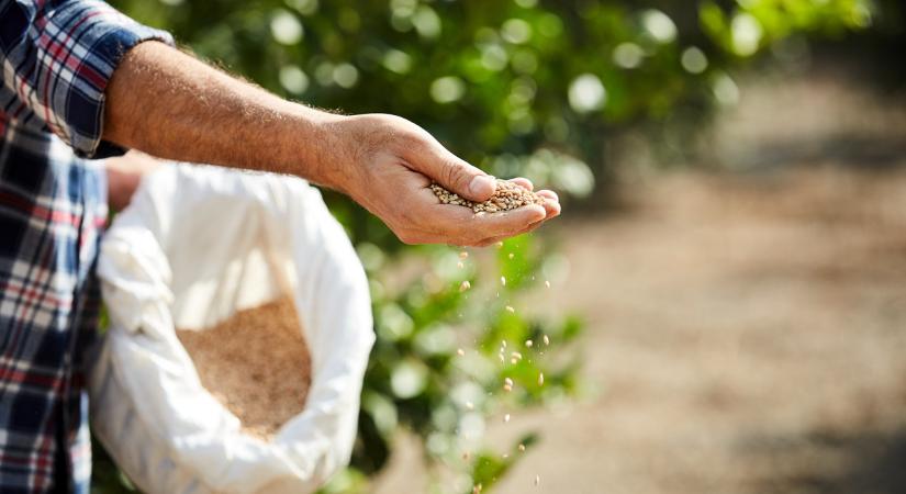 Fontos hírt kaptak a magyar őstermelők: ezzel nem árt tisztában lenni