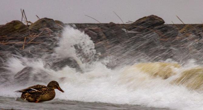 Hidegbetörés: 100 km/órás széllökések is lehetnek vasárnap