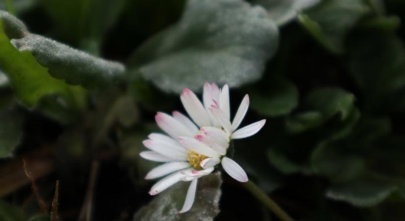 Még élvezhetjük a tavaszias időjárást