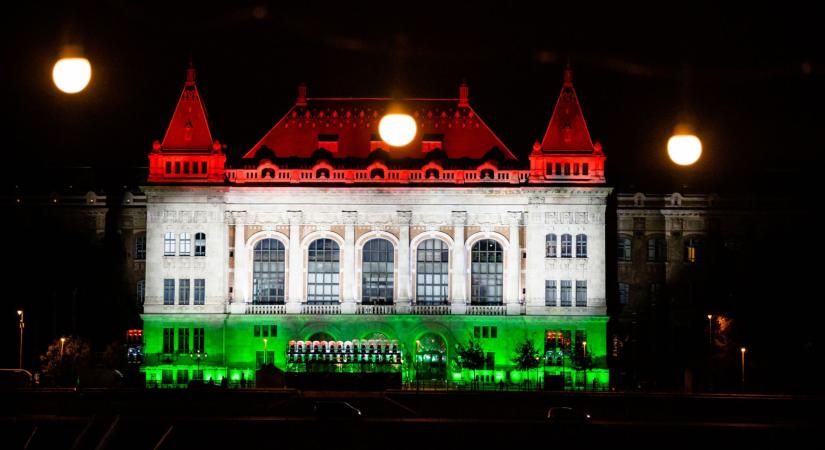 Hangyasavban tárolnák a jövő energiáját - Magyar kutatók világraszóló megoldást találtak