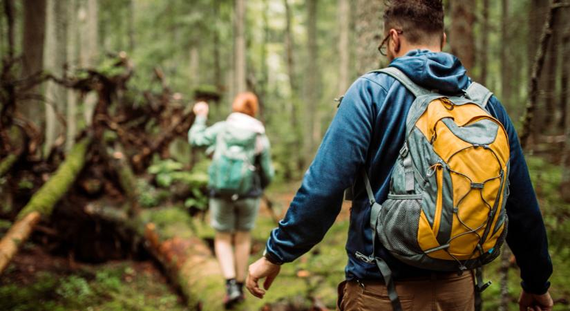Szuper hír a bakancsos túrázóknak: ezennel vége a vakon sétálásnak a Kéktúra útjain