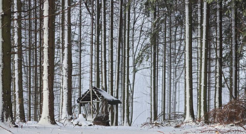 Viharos széllel jön vasárnap a hidegfront