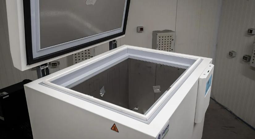 Csecsemők holttestei kerültek elő egy fagyasztóból