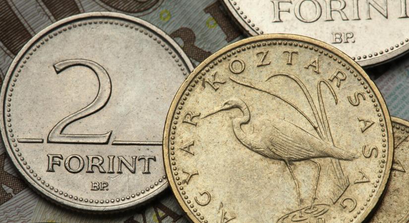 Kimegy fát vágni, ha meglátja mennyit ér a forint