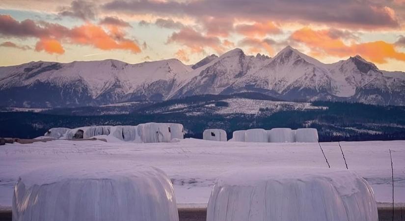 Sarkvidéki fordulat jön: 14 fokról akár –20-ig zuhanhat a hőmérséklet