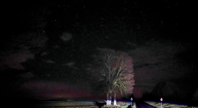 Péntek 13.: megtalálta már a szerencsecsillagát? Zalában megkeresheti a legszebbet, adunk egy tippet, hol találja