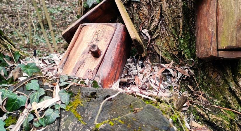 A legtündéribb séta a vármegyében: ezt a mesevilágot imádni fogják a gyerekek