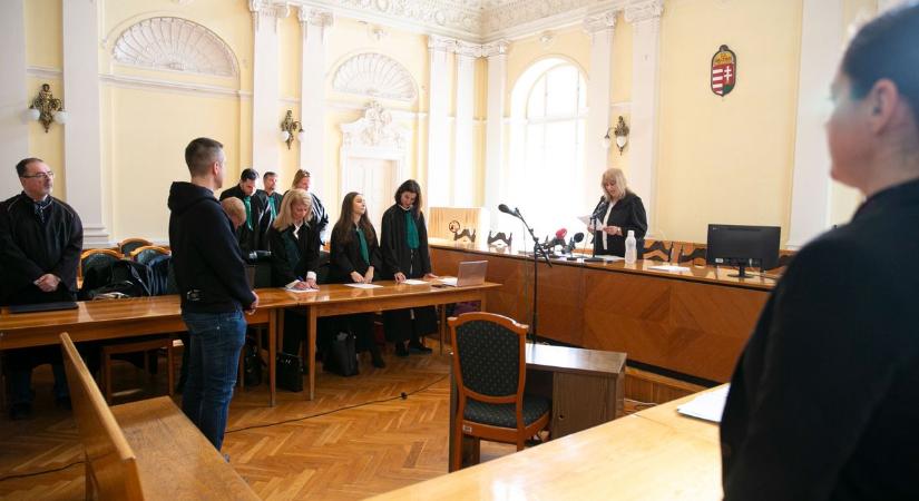 Kiskutyákat találtak a földúton, hét év fegyházról döntöttek Kecskeméten