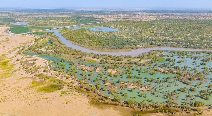 Annyi fát ültettek egy kínai sivatagba, hogy szénelnyelővé vált