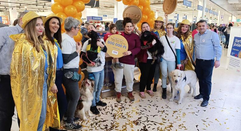 Bella csak játszott a kutyákkal, percekkel később félmillió forintról döntött édesanyja