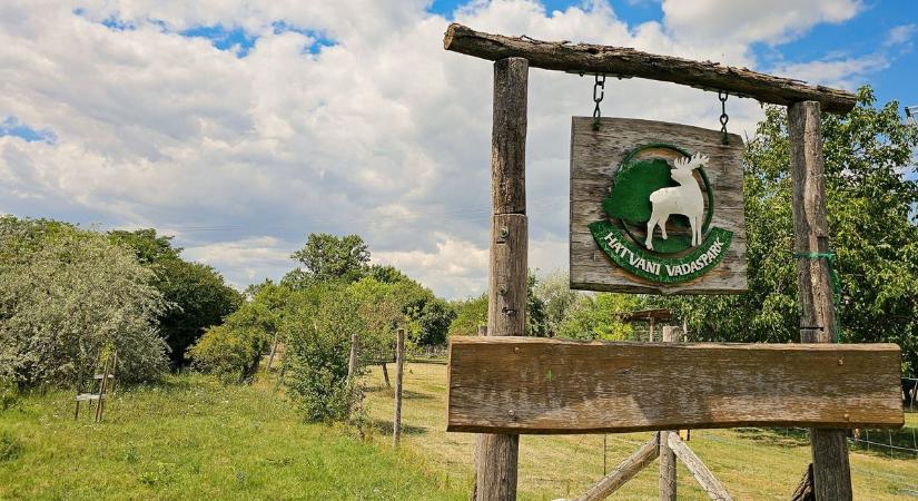 A természettel együtt a Hatvani Vadaspark is feléled