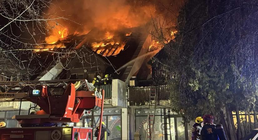 „Tehetetlenek voltak a tűzoltók!” – megszólaltak a budakeszi tűzvész szemtanúi