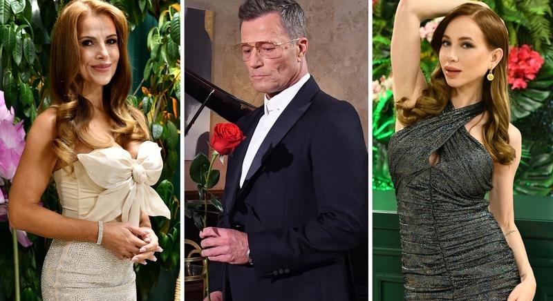 Buci és a Nagy Választás