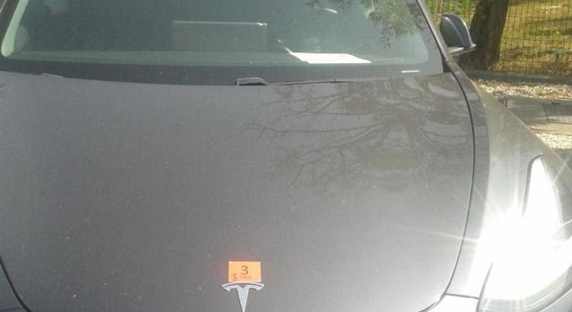 Alig futott fekete Tesla kalapács alatt - Féláron az elektromos csodaautó - fotó