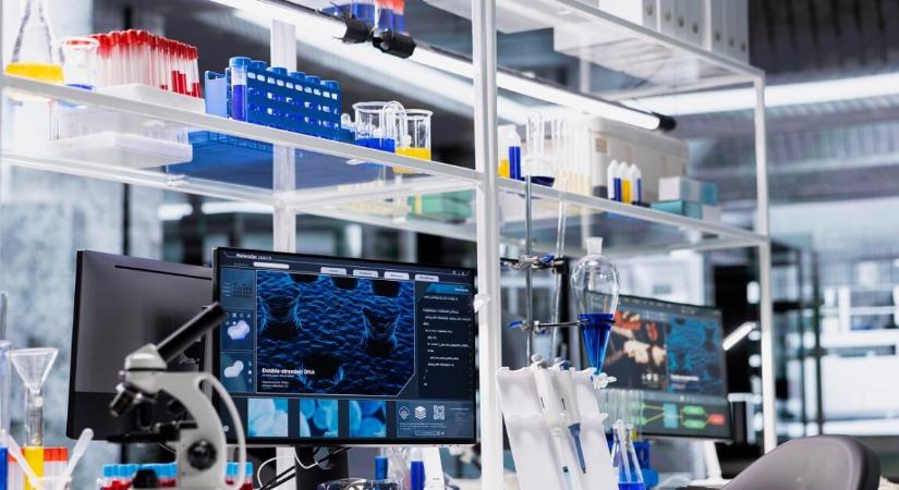 Élő ereket építettek egy chipre – áttörés a szív‑ és érrendszeri kutatásban