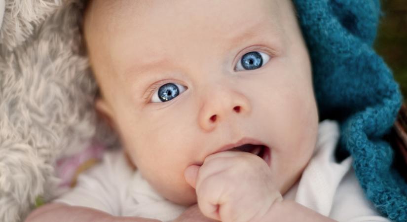 Mikor alakul ki a szemünk színe? – Tévedés, hogy minden csecsemő kék szeműnek születik