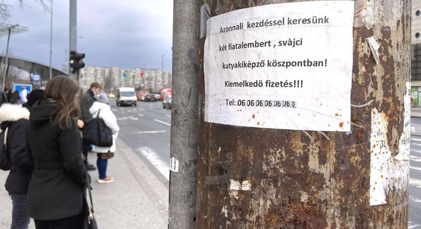 Ez a tudás most aranyat ér Szolnokon – mutatjuk, kiket keresnek a cégek