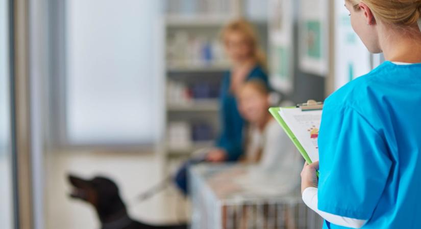 Az 5 legjobb állatorvos Vas vármegyében - ezt mondták olvasóink