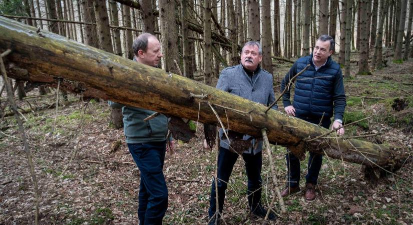 Mi folyik az Őrségben? V. Németh Zsolt megválaszolja a kérdést