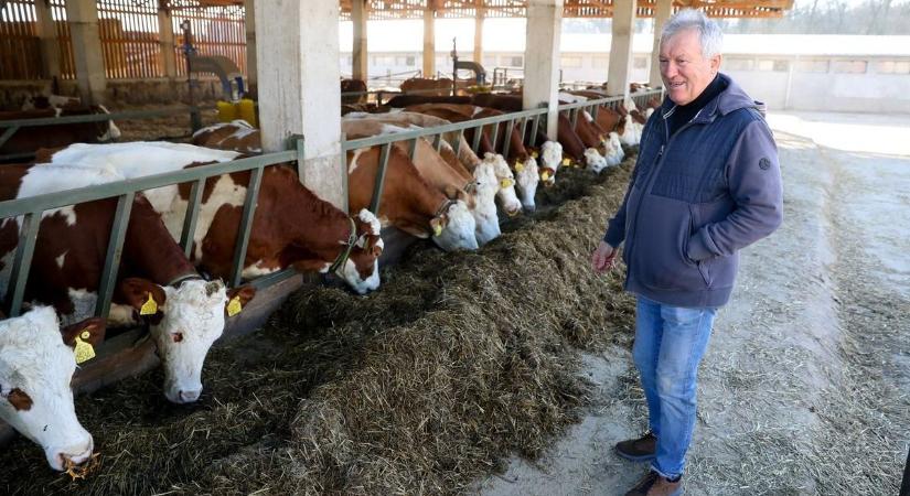 Rácz Károly: amin javítani lehet, javítani fog a kormány