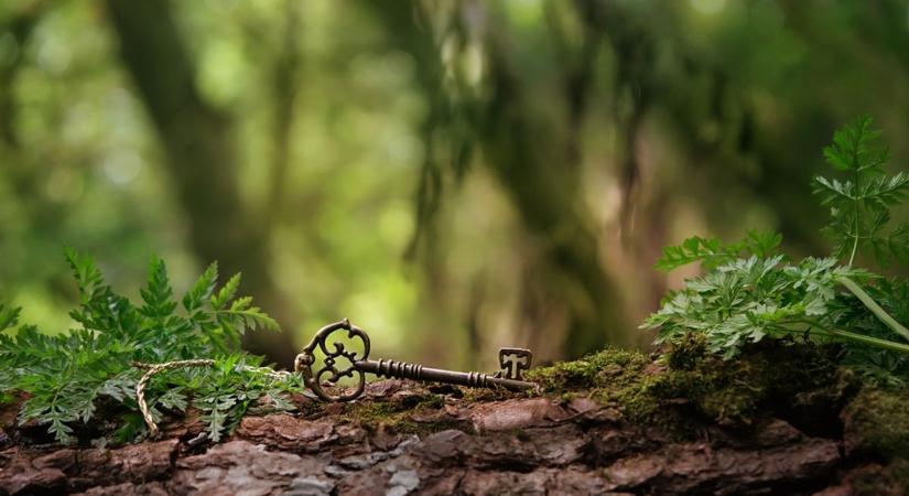A legtöbben elsétálnak mellette, pedig csoda rejtőzik ebben a belvárosi udvarban