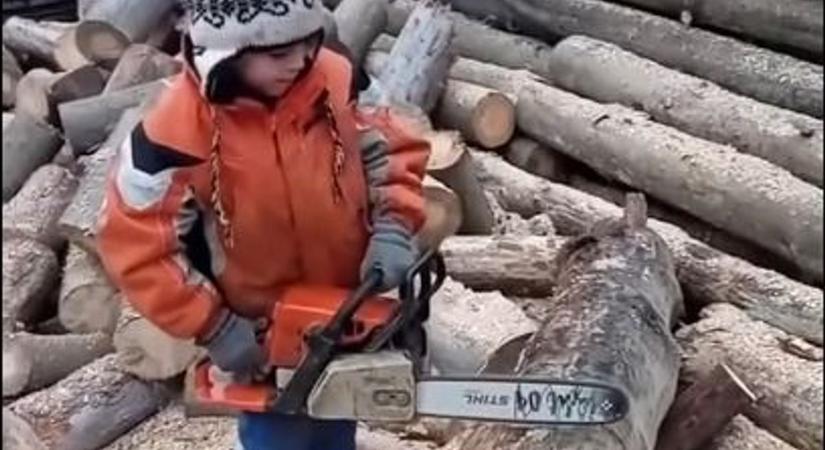 Szétszedték a kommentelők, mert láncfűrészt adott az óvodáskorú gyermek kezébe - felkavaró videó