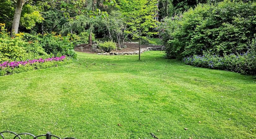 Lyukak a kertben: patkány, egér vagy róka? A válasz nem mindig egyértelmű