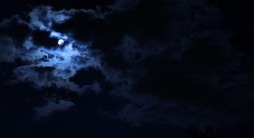 Kerepesi Igor: Andalgó