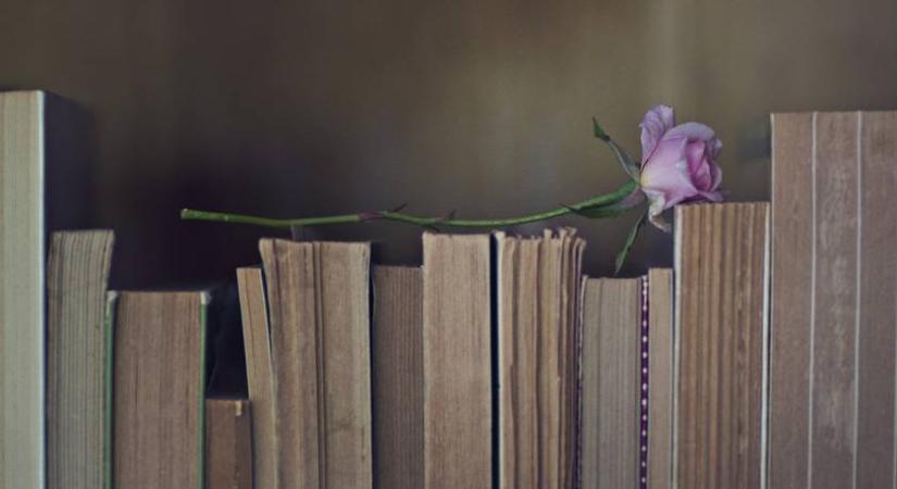 Ismeretlenül is szerette a lányt éveken át - Új köntösbe bújtatott Hamupipőke-történetet olvastunk