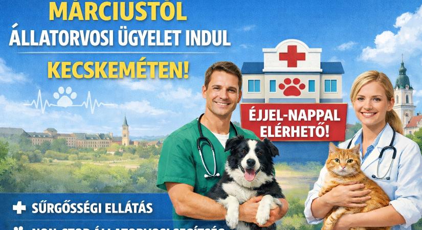 Állatorvosi ügyelet indul Kecskeméten