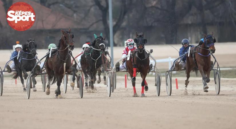 Futamok, jelmezek, hírességek – képösszeállítás az ügetőfarsangról