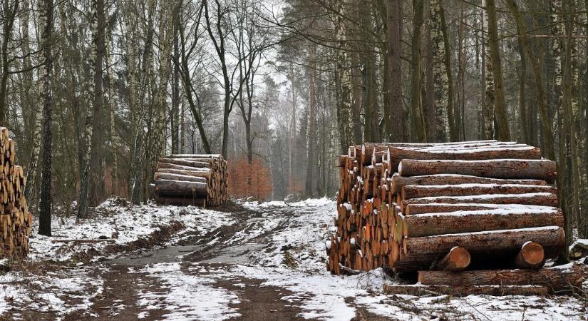 Figyelem! Leáll az EUDR információs rendszere